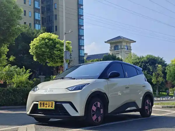 BYD Seagull 2023