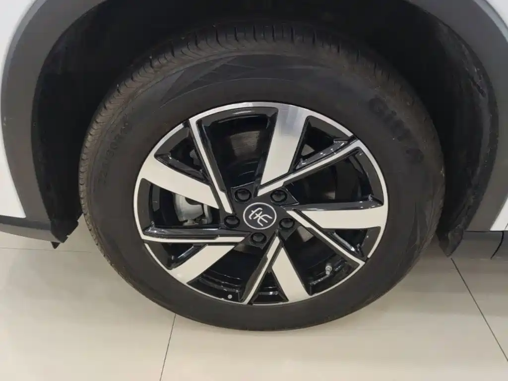 BYD Song Pro New Energy 2025 — фото 23