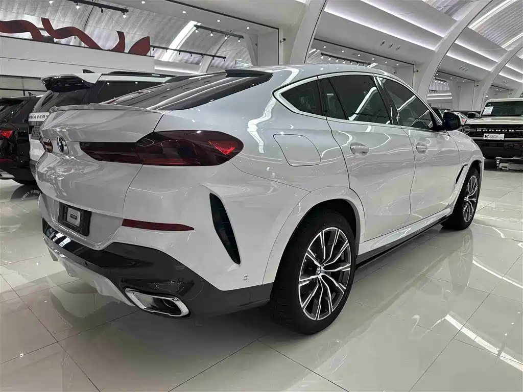 BMW X6 2021 — фото 18