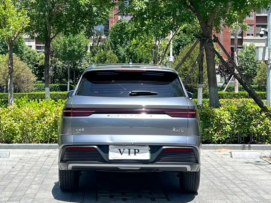 BYD Pro New Energy 2024 — фото 5
