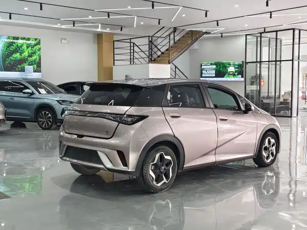 BYD Dolphin 2021