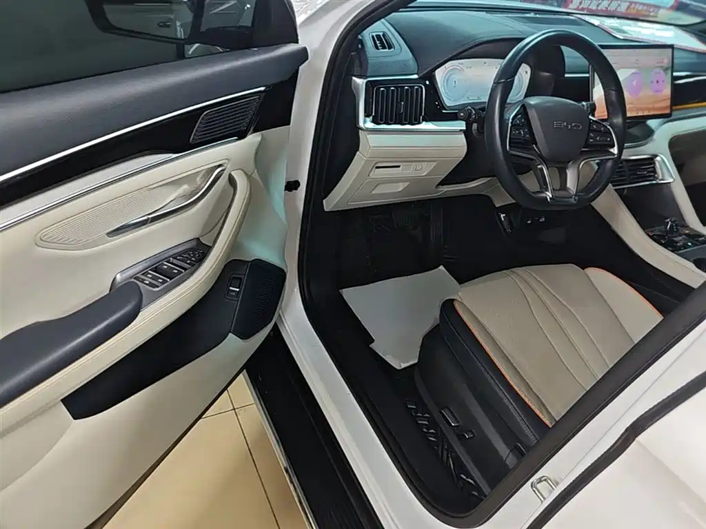 BYD PLUS New Energy 2023 — фото 16