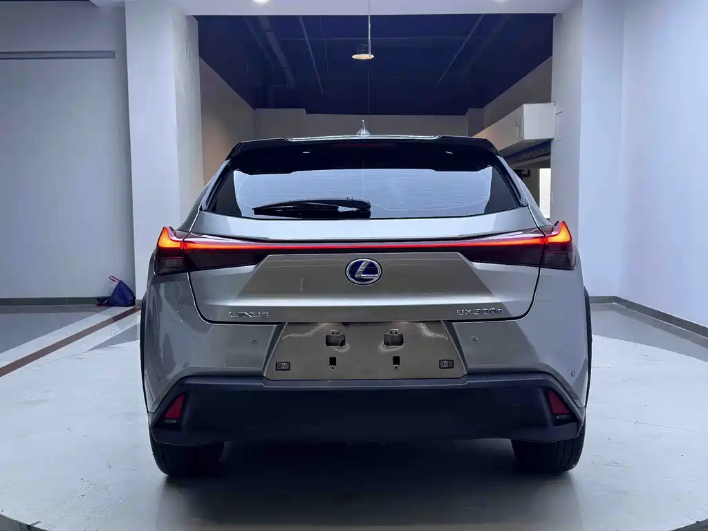 Lexus UX New Energy 2022 — фото 4