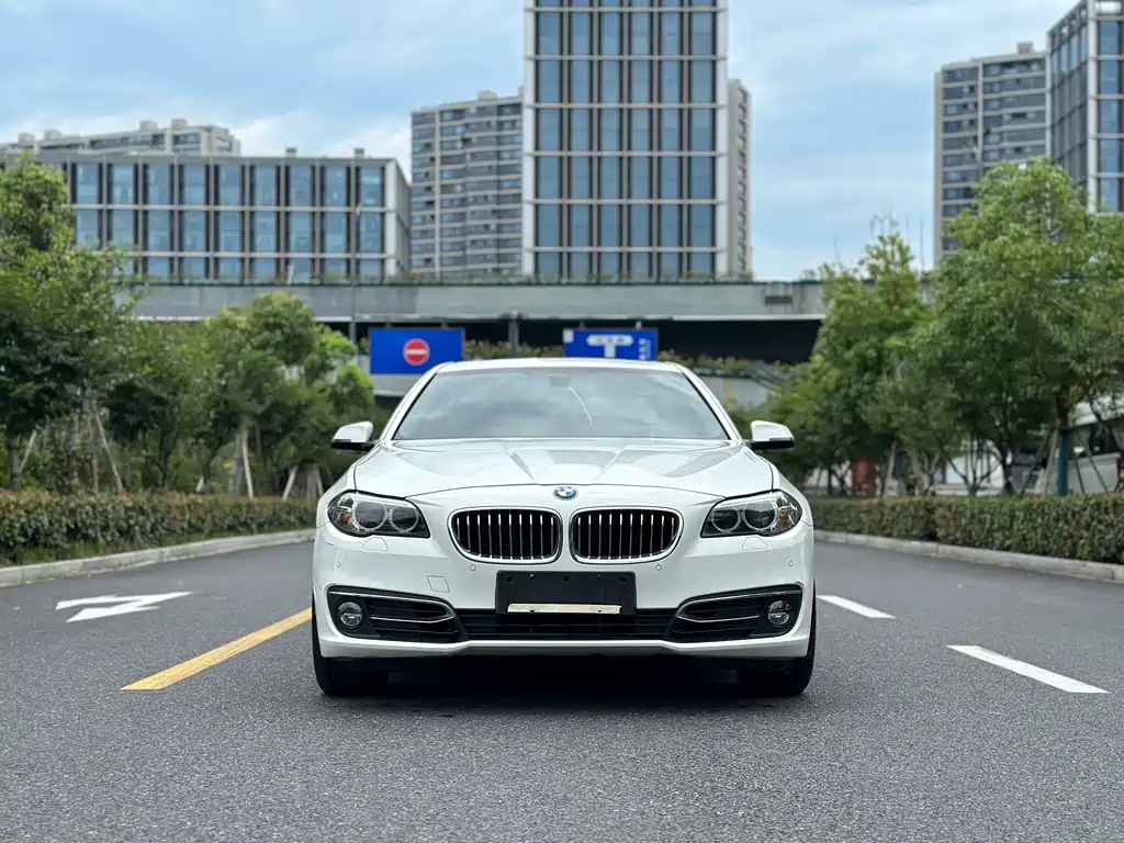 BMW 5 Series 2015