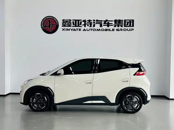 BYD Seagull 2024