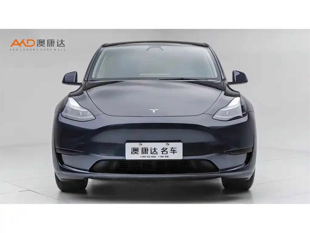 Tesla Model Y 2025 — фото 2
