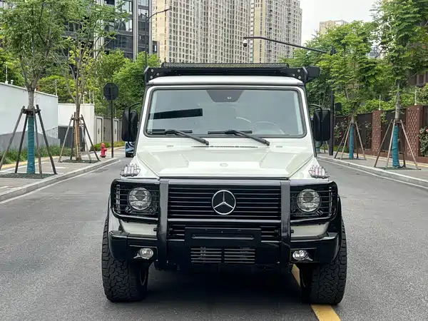 Mercedes-Benz G-Class 2010
