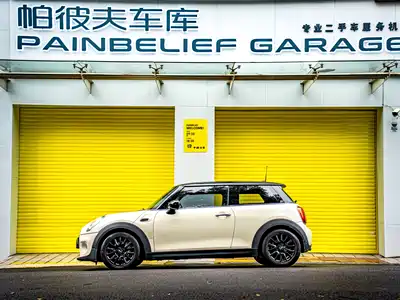 MINI MINI 2018