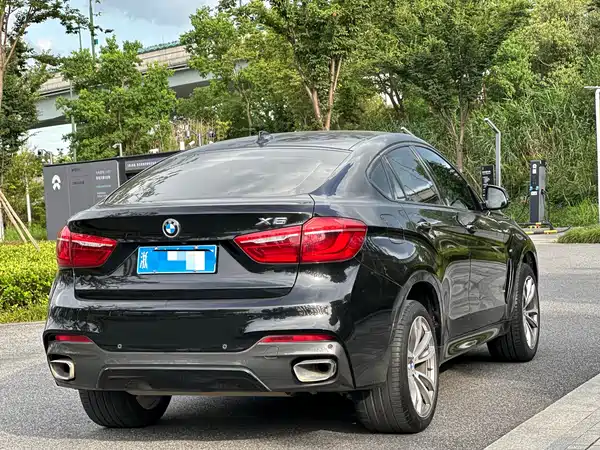 BMW X6 2019