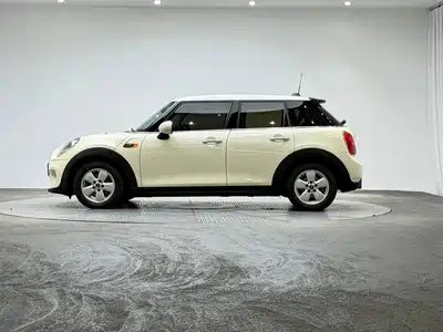 MINI MINI 2015