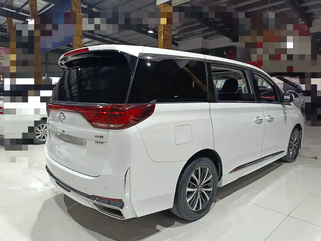 GAC Motor Trumpchi M8 2021 — фото 13