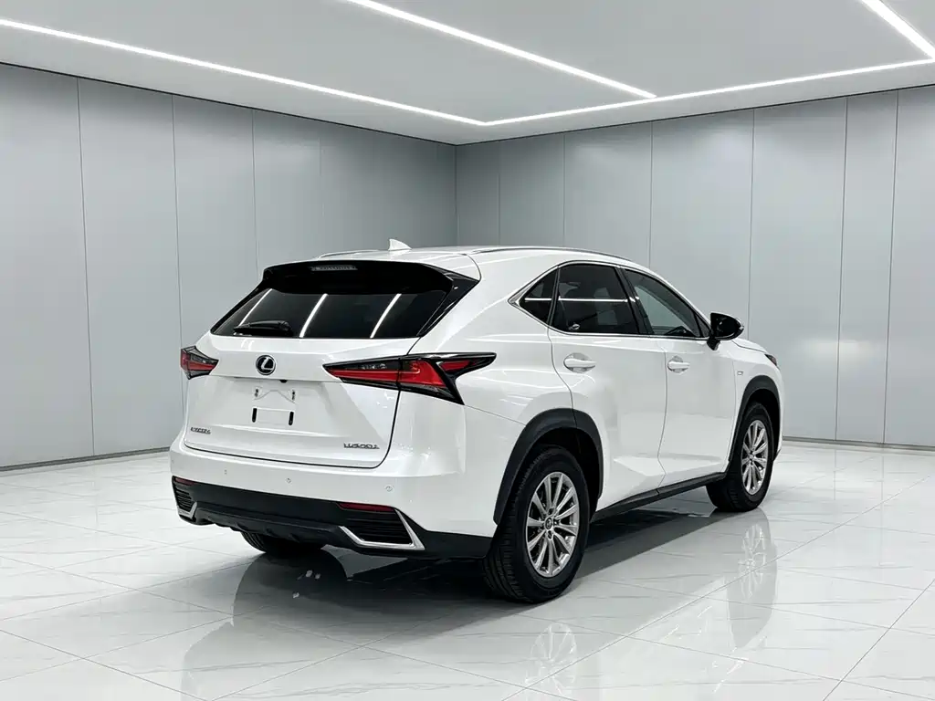 Lexus NX 2020 — фото 8