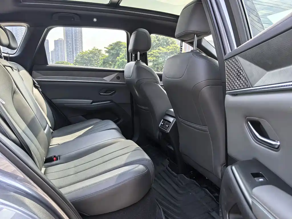BYD Song Pro New Energy 2025 — фото 8