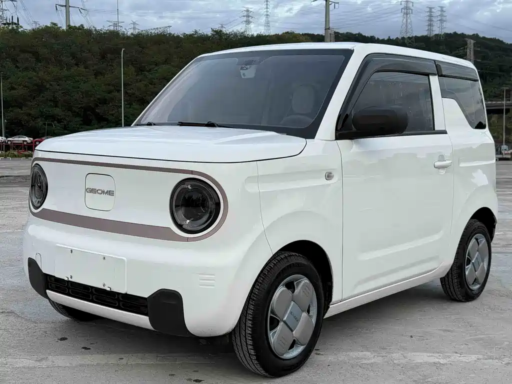 Geely Galaxy Panda 2024