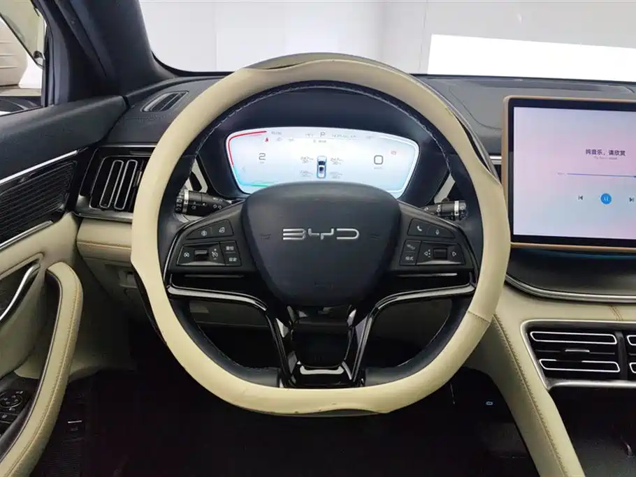 BYD Song PLUS New Energy 2024 — фото 15