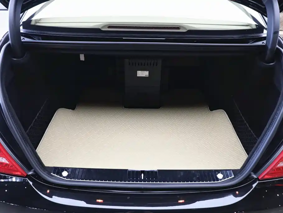 Mercedes-Benz S-Class AMG 2010 — фото 34