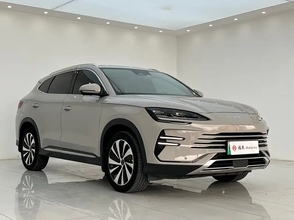 BYD PLUS New Energy 2024 — фото 3