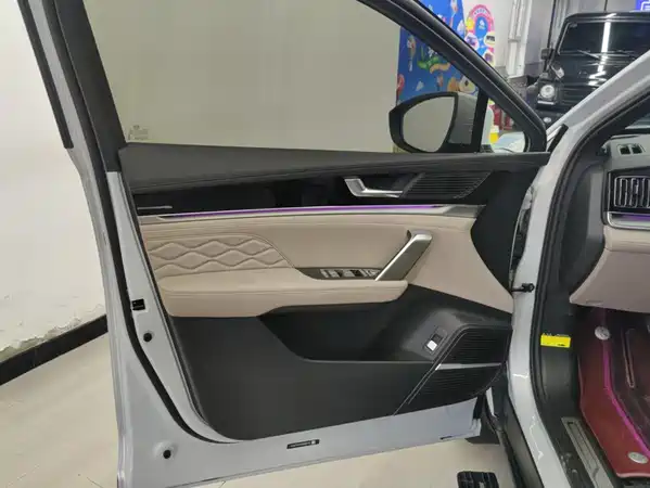 BYD Tang New Energy 2024