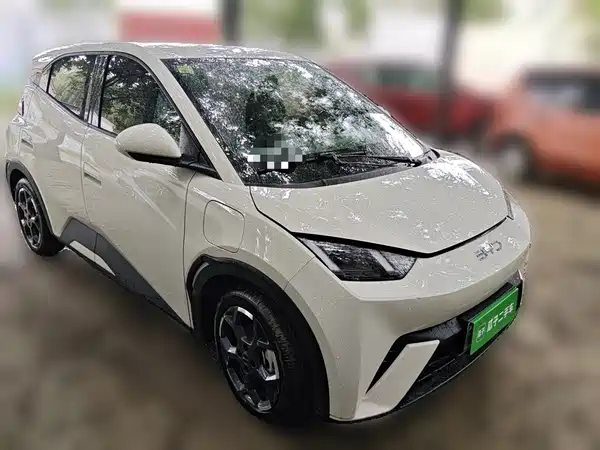 BYD Seagull 2024