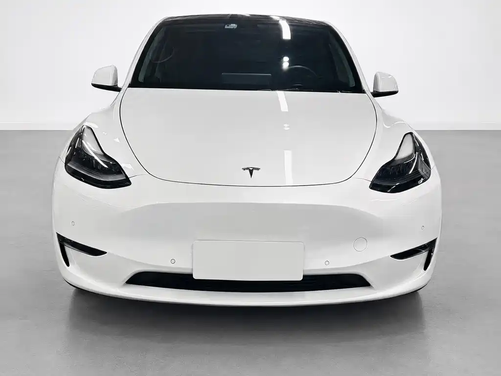 Tesla Model Y 2021 — фото 2