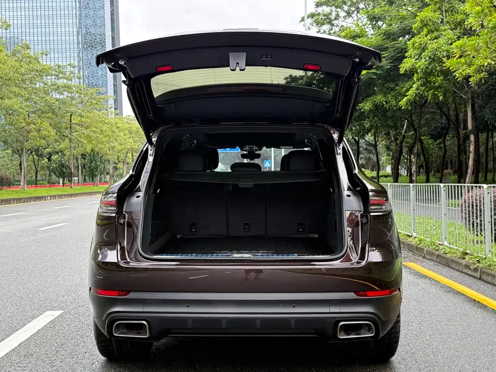 Porsche Cayenne 2020 — фото 17
