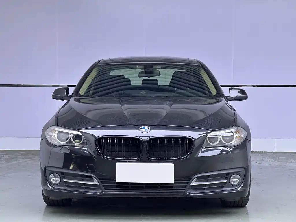 BMW 5 Series 2017 — фото 2