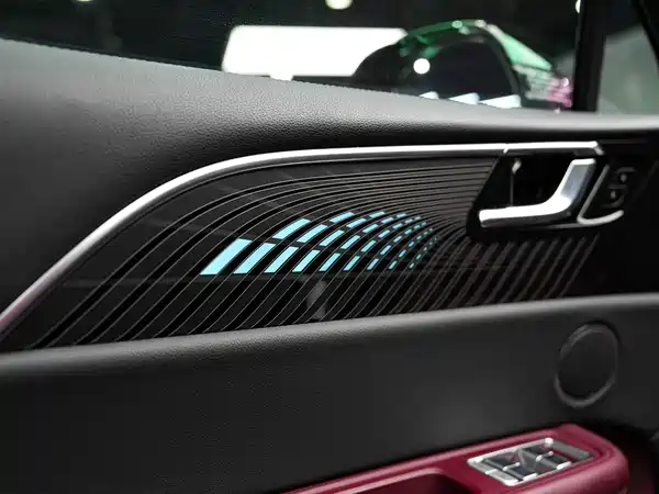 Hongqi E-HS9 2021