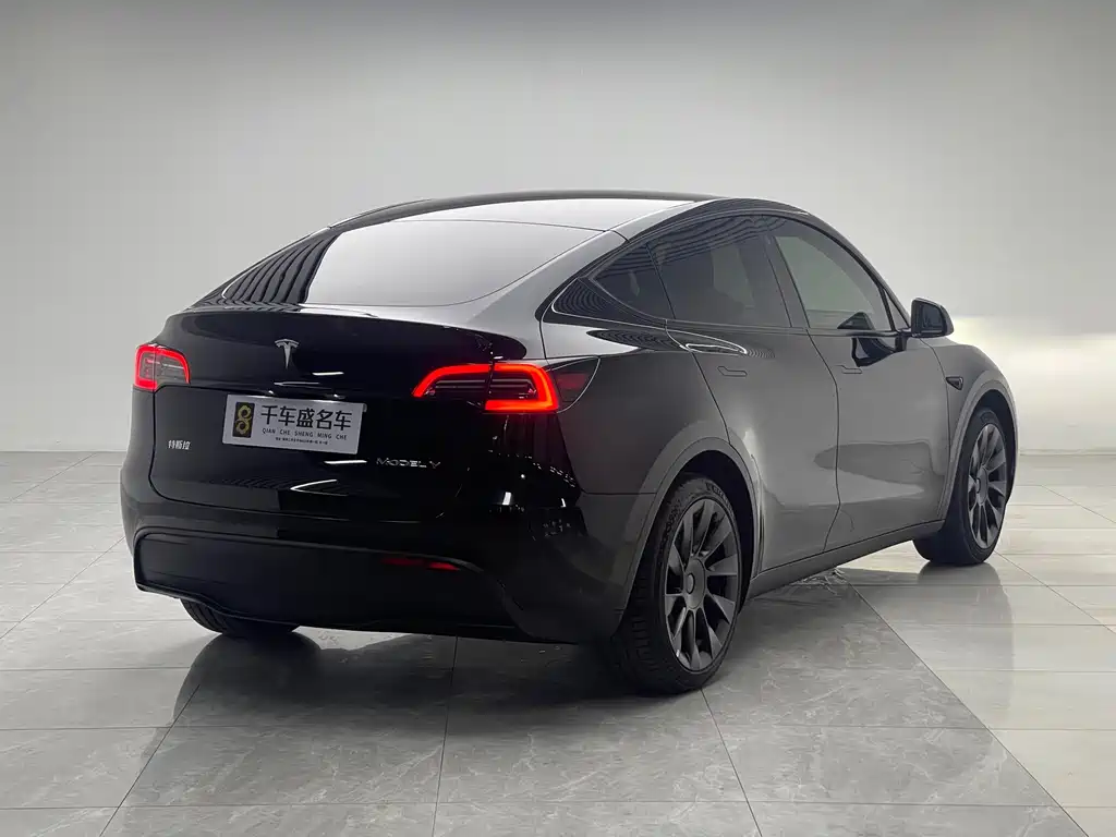 Tesla Model Y 2023 — фото 6