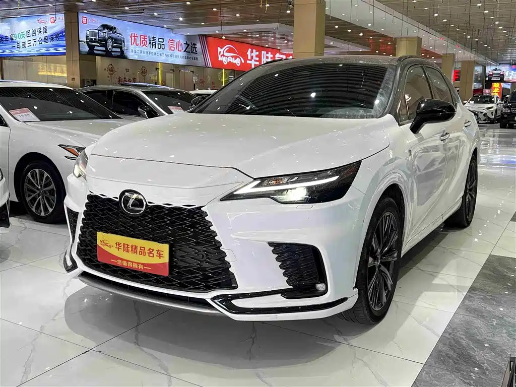 Lexus RX 2024 — фото 1