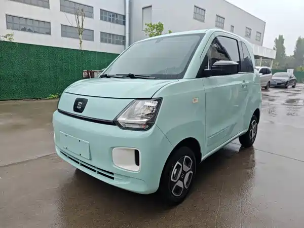 Dongfeng Scenery MINIEV 2024