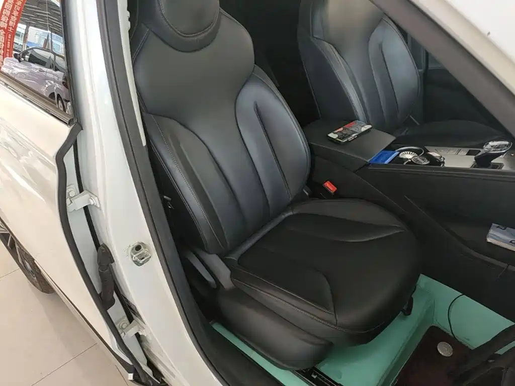 Roewe RX5 New Energy 2024 — фото 25
