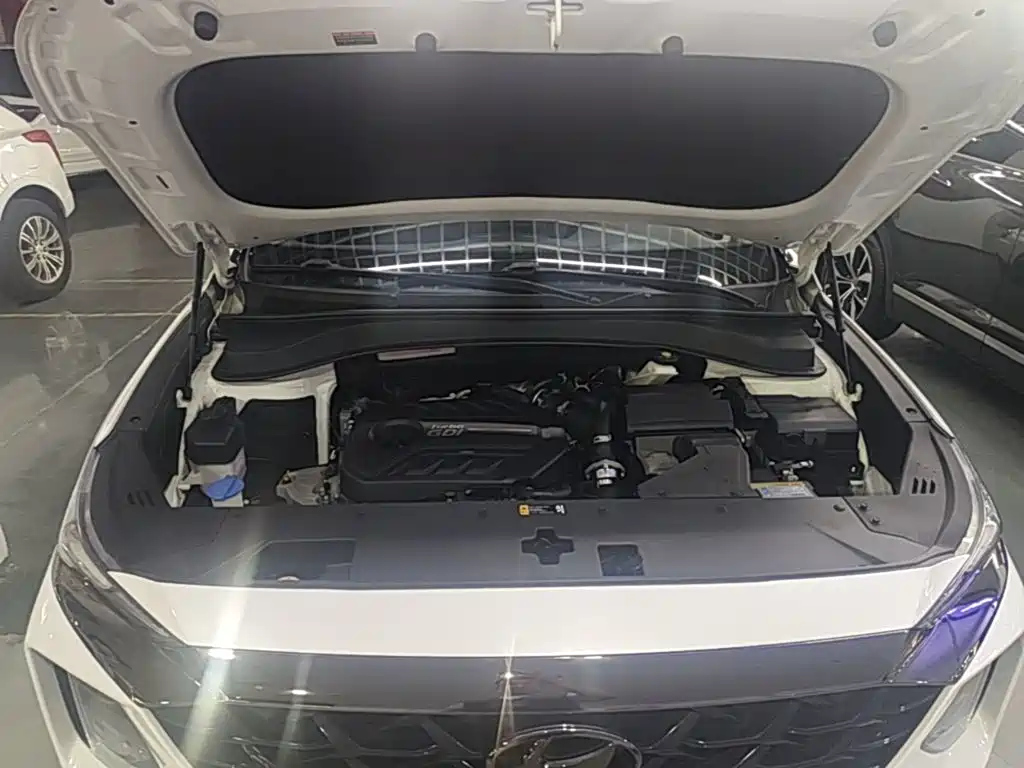 Hyundai Santa Fe 2023 — фото 20