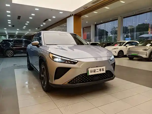 Neta L 2024