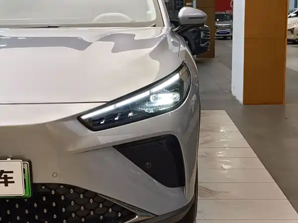 Neta L 2024