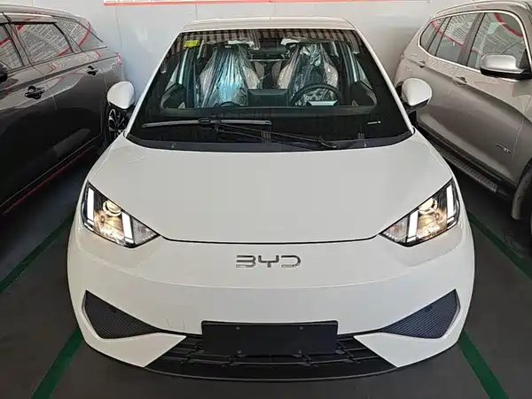 BYD Seagull 2026