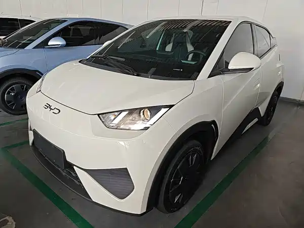 BYD Seagull 2026