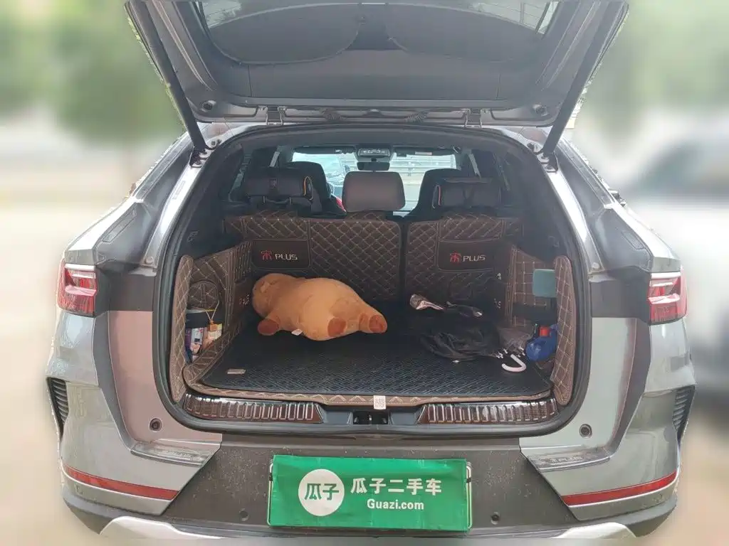 BYD Song PLUS New Energy 2022 — фото 15