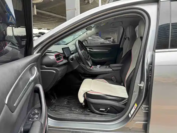 BYD Destroyer 05 2022