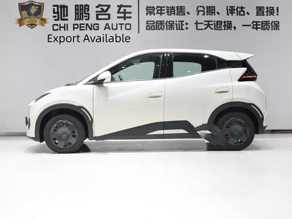BYD Seagull 2026