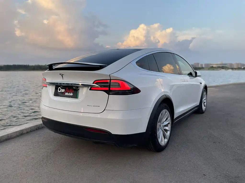 Tesla Model X 2020 — фото 9