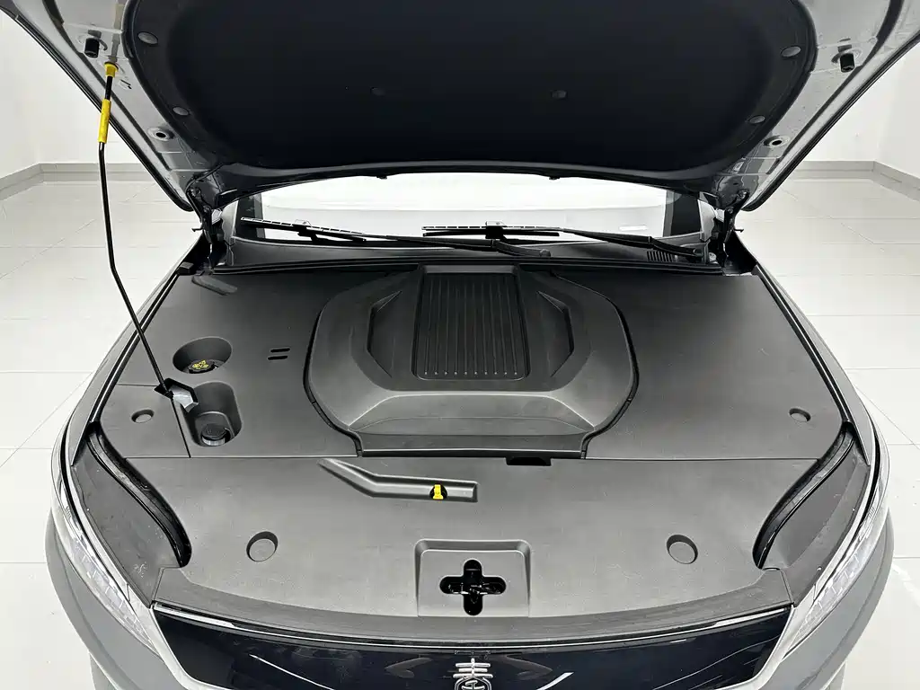 BYD Qin PLUS 2025 — фото 13