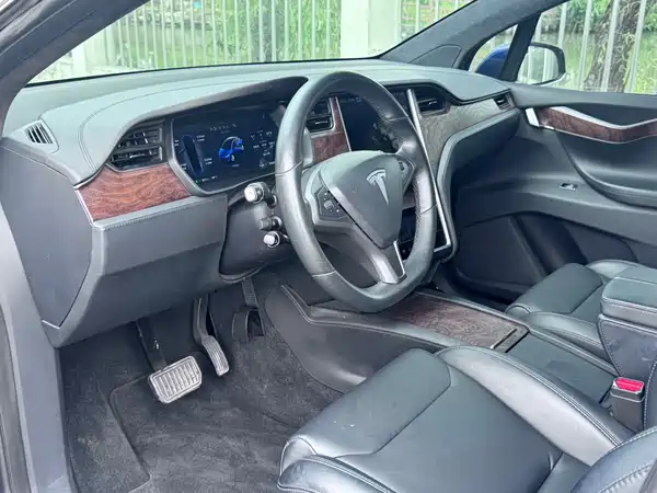Tesla Model X 2019