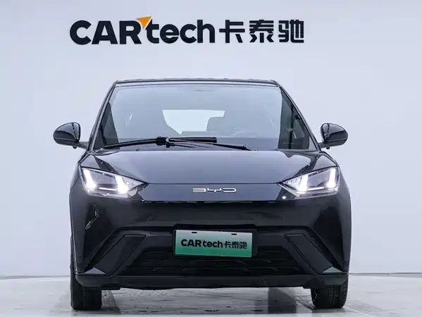 BYD Seagull 2024