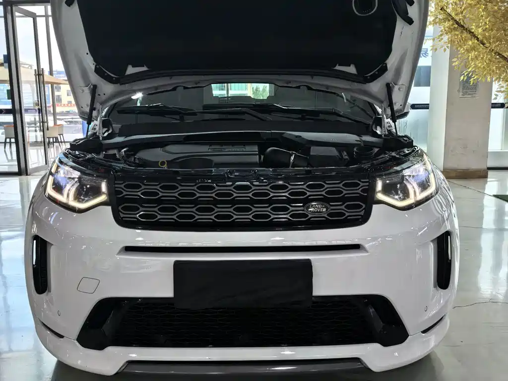 Land Rover Discovery Sport 2020 — фото 18