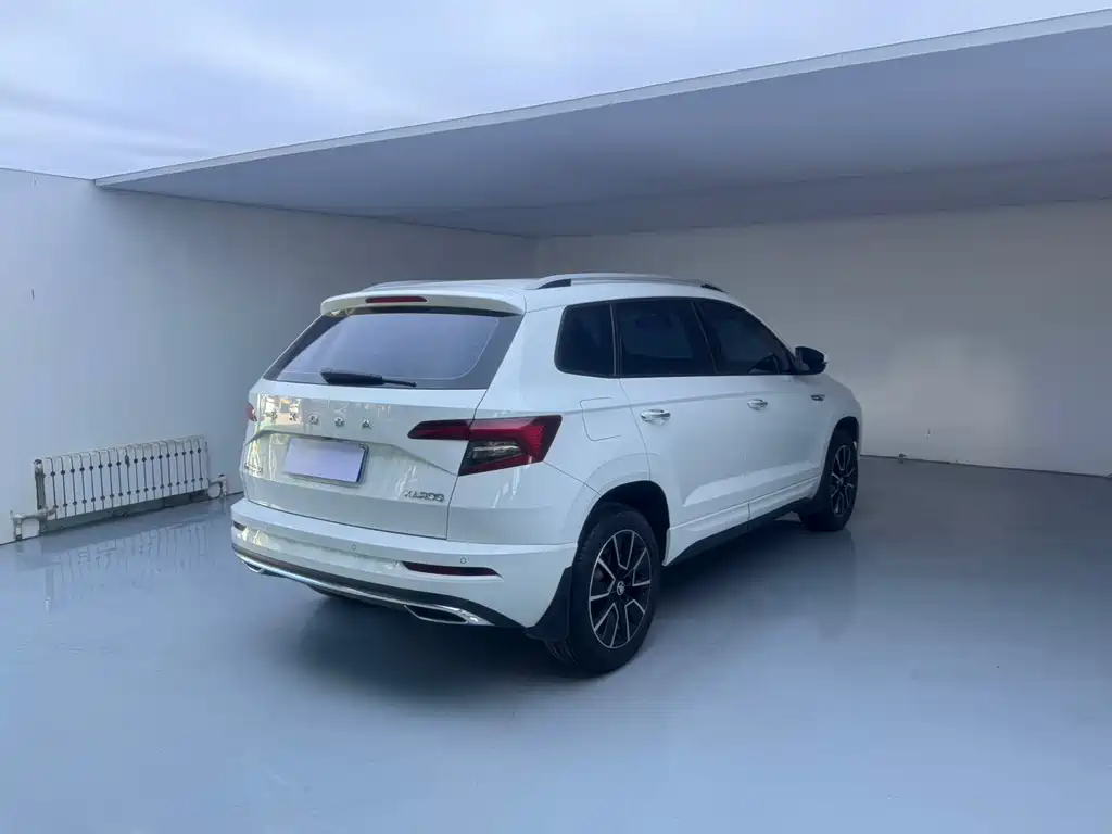 Skoda Karoq 2023 — фото 6