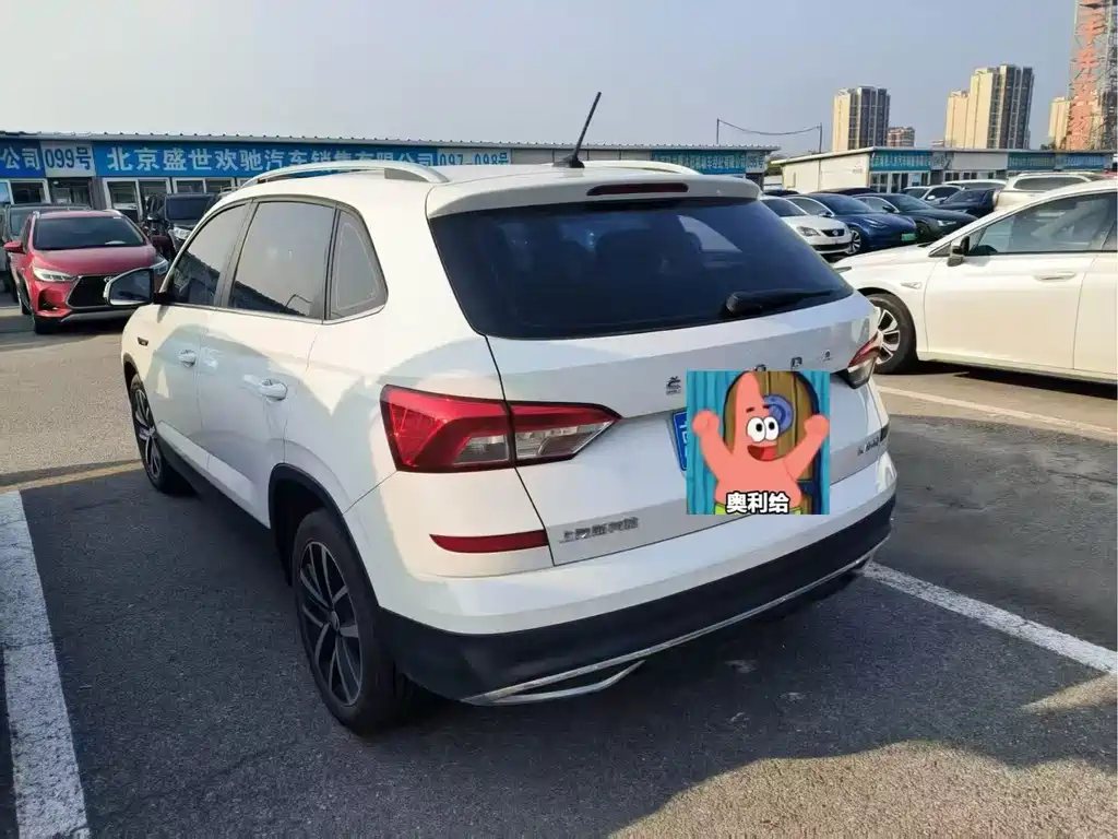 Skoda Kamiq 2020 — фото 11