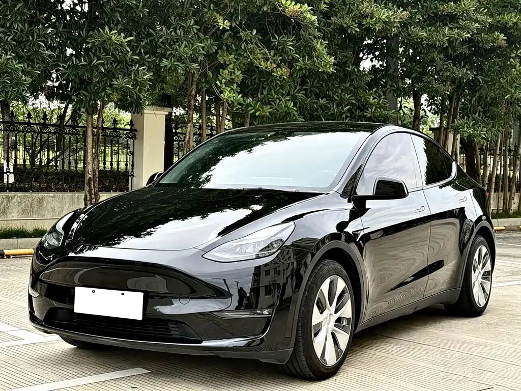 Tesla Model Y 2021 — фото 1