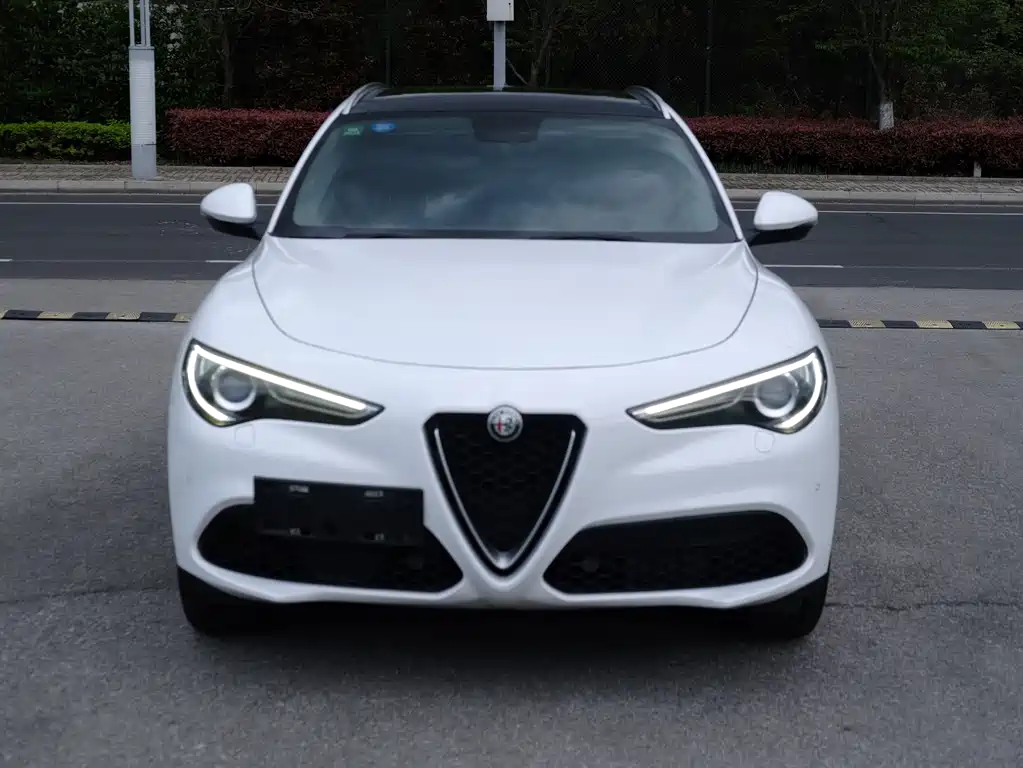 Alfa Romeo Stelvio 2019 — фото 2