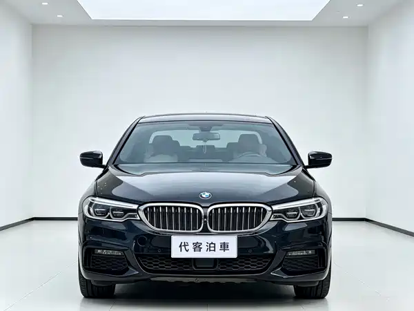 BMW 5 Series 2019