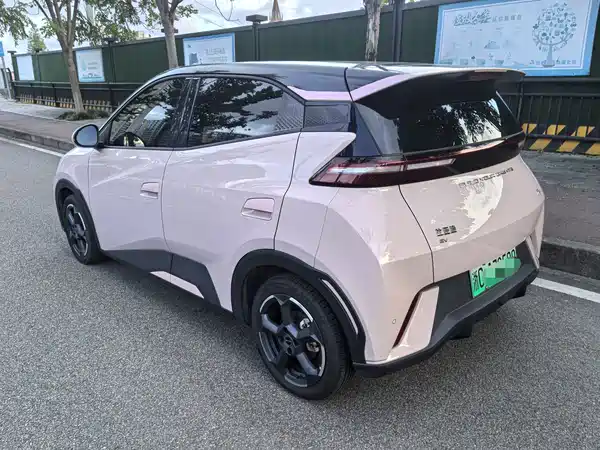 BYD Seagull 2024